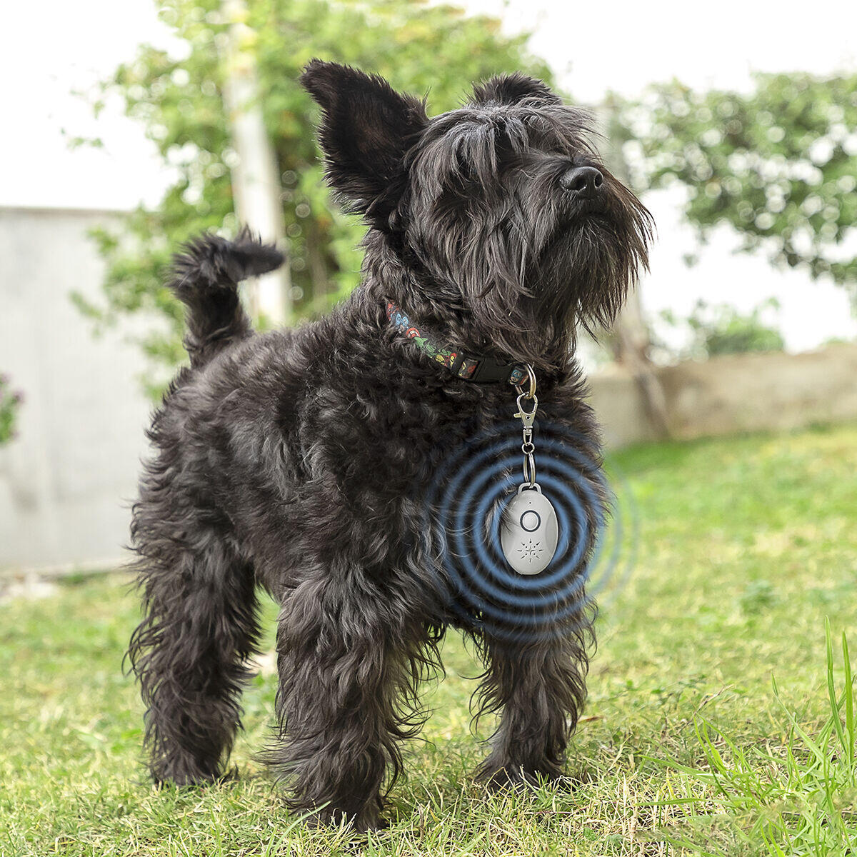 Antiparásitos por Ultrasonidos Recargable para Mascotas PetRep