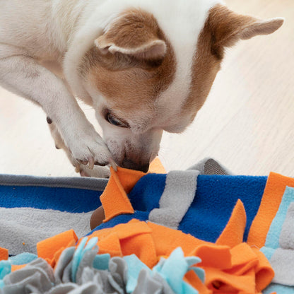 Alfombra Olfativa para Mascotas Fooland