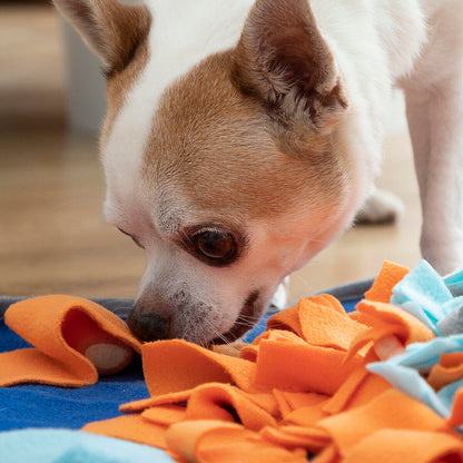 Alfombra Olfativa para Mascotas Fooland