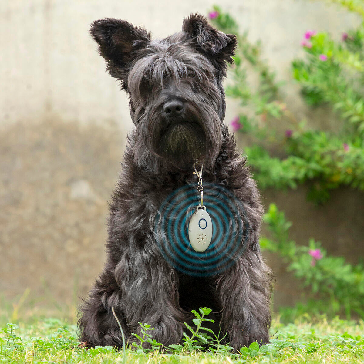 Antiparásitos por Ultrasonidos Recargable para Mascotas PetRep